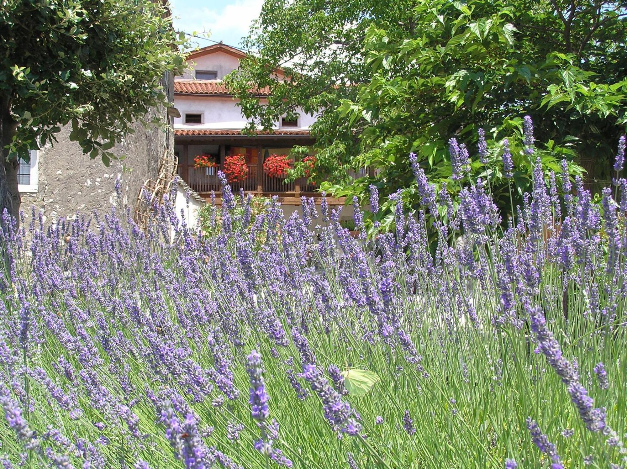 Pliskovica Youth Hostel Eksteriør bilde