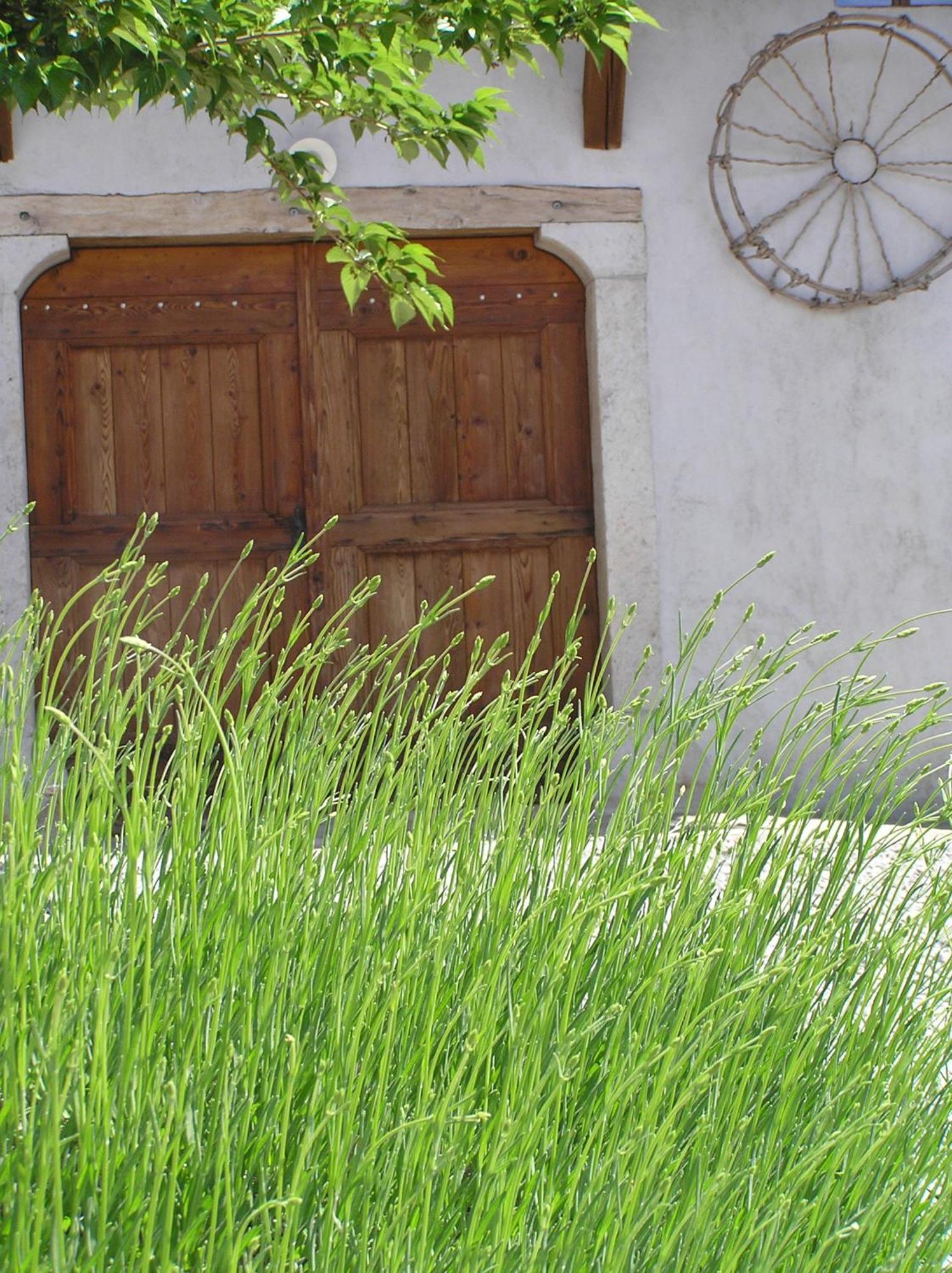 Pliskovica Youth Hostel Eksteriør bilde